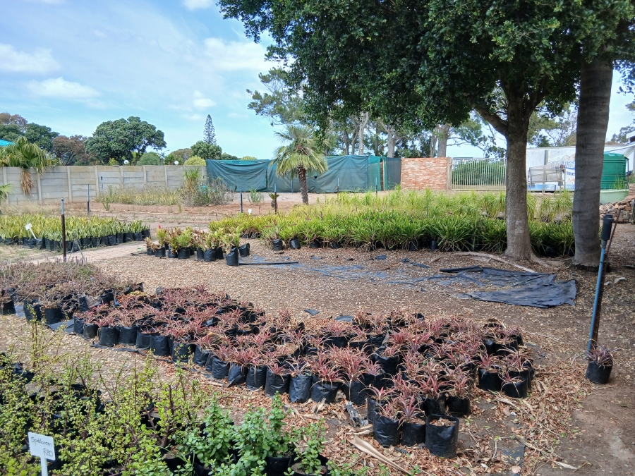 Commercial Property for Sale in C Place Eastern Cape